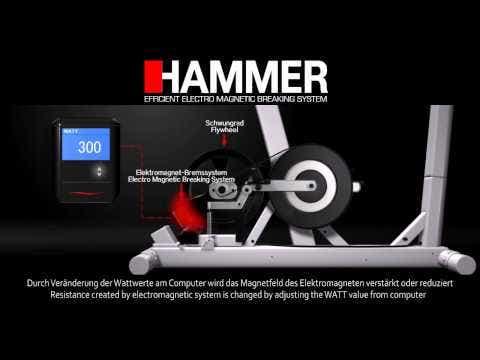 Actual product image Finnlo by Hammer Exum III