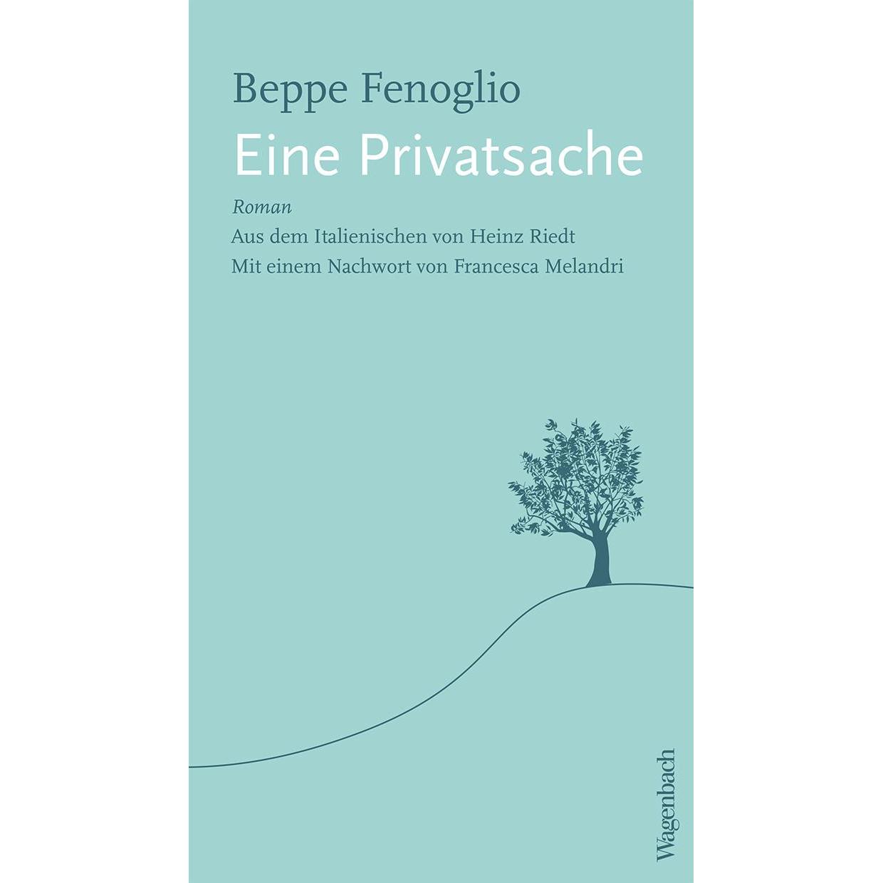 Eine Privatsache, Belletristik von Beppe Fenoglio