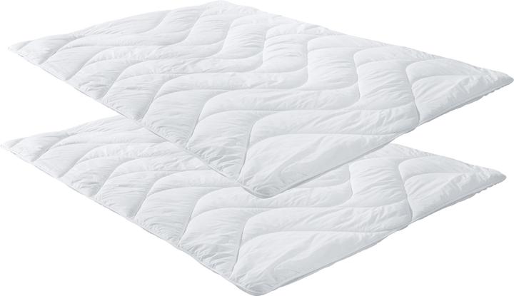 Immagine prodotto Erwin Müller Lech (500 g, 155 x 220 cm)