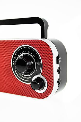 Actual product image Camry CR 1140 (FM)