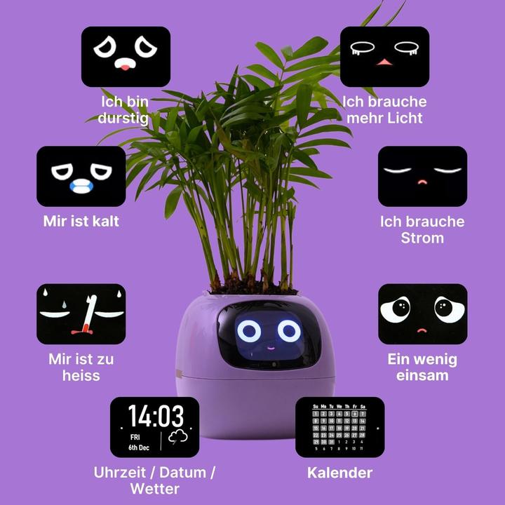 Produktbild Hermex Ivy Smart Planter (9 x 11 x 9 cm)