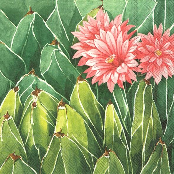 Produktbild IHR Wüstenpflanze (5 x, 33 x 33 cm)
