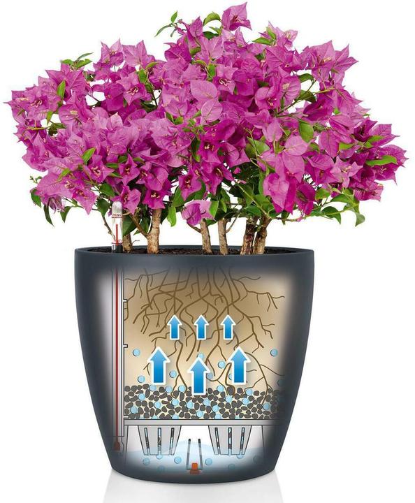 Produktbild Lechuza Classico Color (21.50 x 20.50 cm)