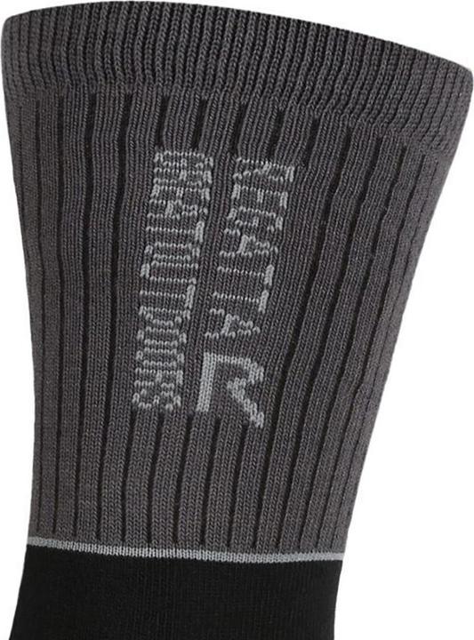 Produktbild Regatta Samaris 2 Season Socken (2erPack) (43 - 47)