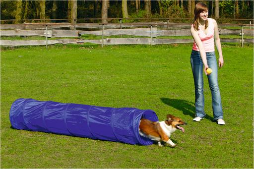 Immagine prodotto Beeztees BZ AGILITY TUNNEL PICCOLO 198X40 (Destrezza)