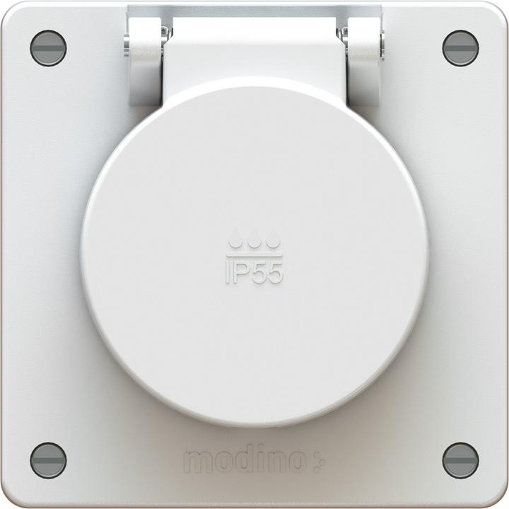 Image du produit Max Hauri 1x type 13 modino exo