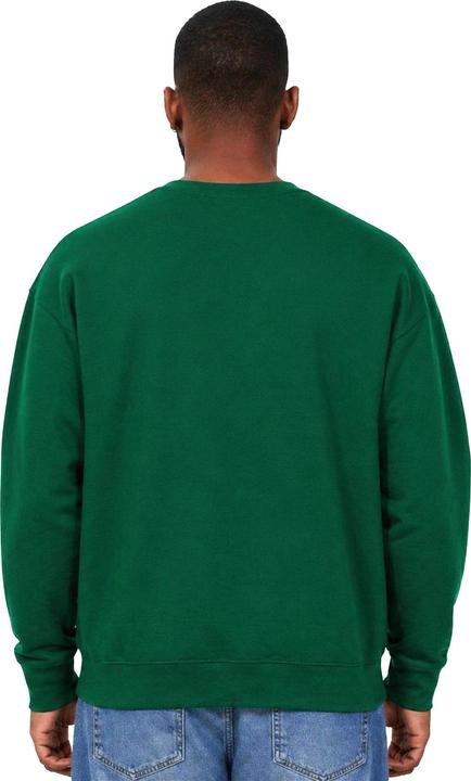 Actual product image Casual Classics Mens Sweatshirt (XL)