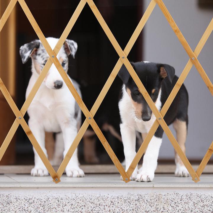 Actual product image Relaxdays Dog barrier (3 cm)