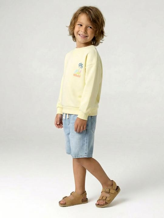 Produktbild Vertbaudet Jungen Sweatshirt mit Sommer-Motiv (140)