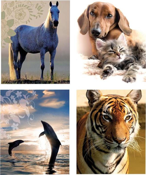 Eibert Visual Tiere (10 Stk.)