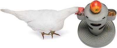 Actual product image Beeztees Feeding Station Chickens Snack Tower, Grey