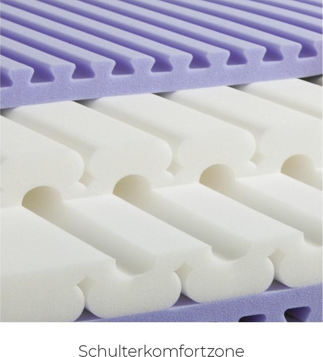 Image du produit Sleepwell24 les allergiques de Bâle (160 x 190 cm, Noyau de mousse)