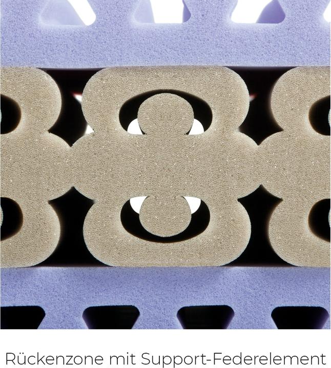 Image du produit Sleepwell24 les allergiques de Bâle (120 x 220 cm, Noyau de mousse)