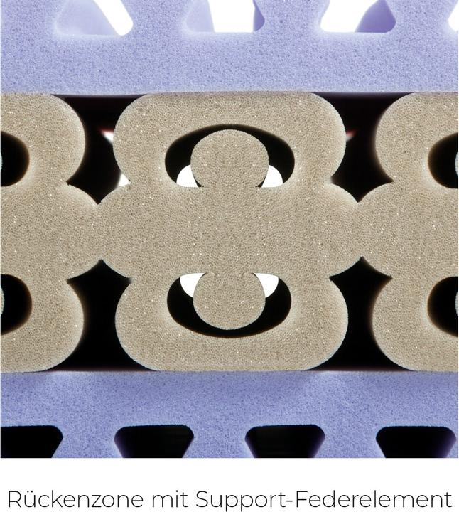 Image du produit Sleepwell24 les allergiques de Bâle (200 x 200 cm, Noyau de mousse)