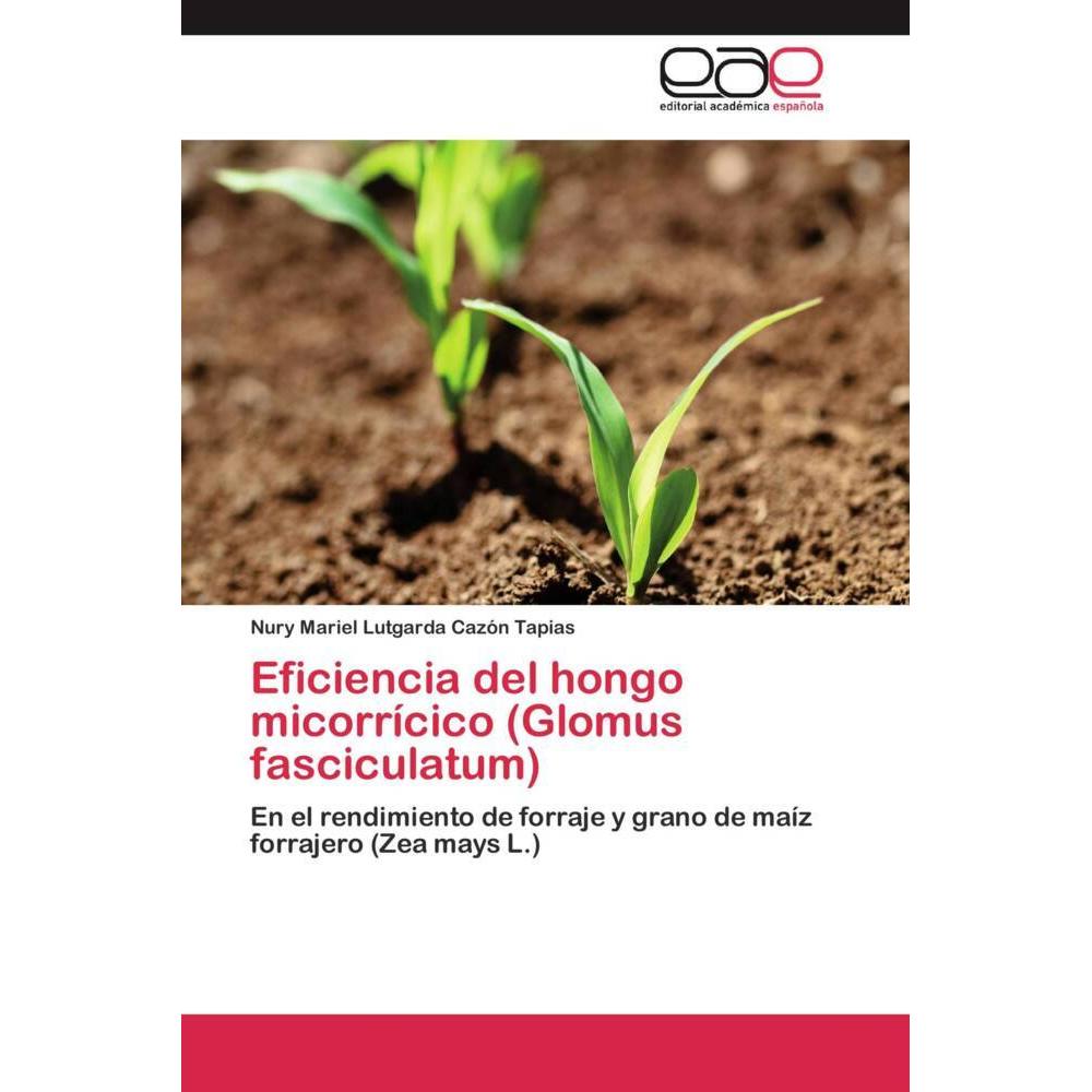 Eficiencia del hongo micorrícico (Glomus fasciculatum), Fachbücher