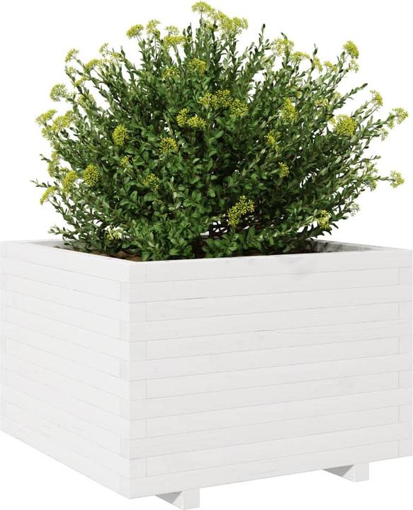 Produktbild vidaXL Pflanzkübel