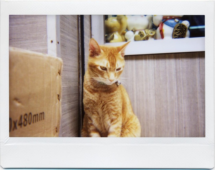 Immagine prodotto Lomo Instant Wide