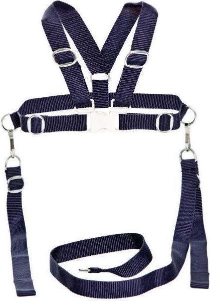 Actual product image Sunnybaby Child safety harness