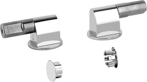 Immagine prodotto Gessi Cerniere 316 con ammortizzatore e tappi laterali per WC a parete, 37584