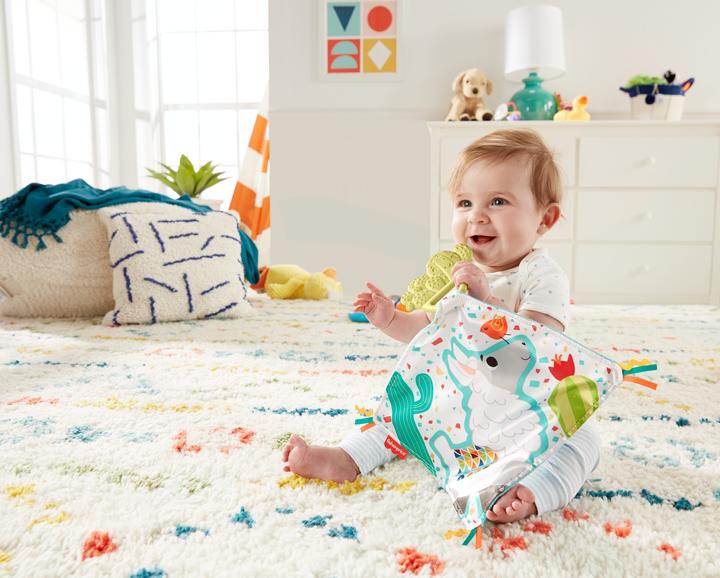 Fisher-Price Kaktus Beissring & Kuscheltuch - kaufen bei Galaxus - Galaxus