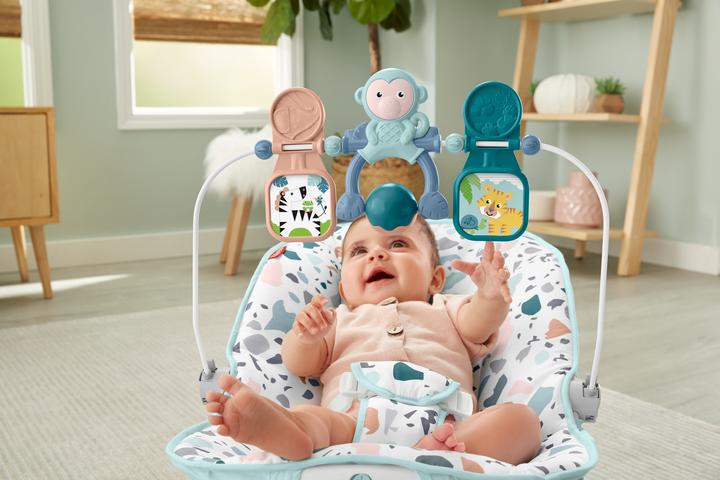 Produktbild Fisher-Price Wippe