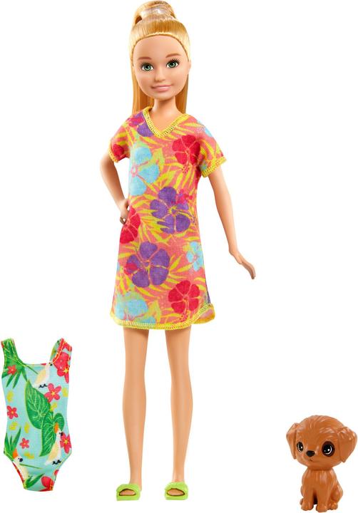 Immagine prodotto Barbie Bambole e accessori e Chelsea il Compleanno Perduto