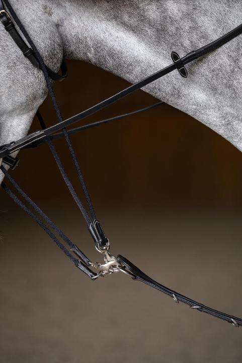 Image du produit HFI Master Gogue pour cheval