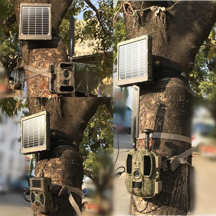 Actual product image Wildgameplus Rechargeable solar panel (8000mAh) (14 W)