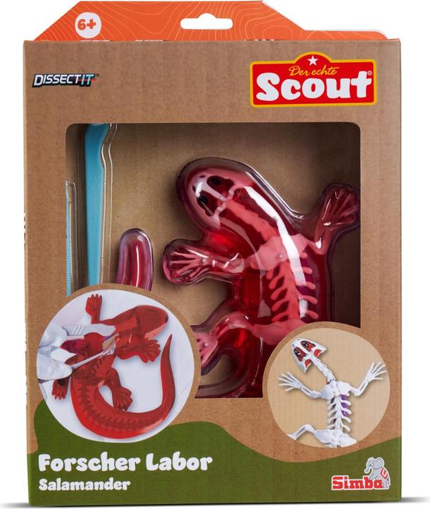 Simba Scout ontleed-salamander