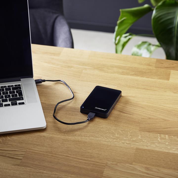 Actual product image Intenso memory case (1 TB)