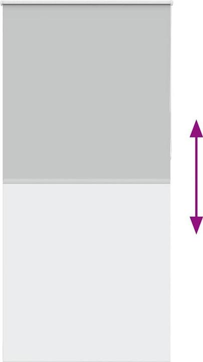 Actual product image vidaXL Verdunkelungsrollo (100 x 230 cm)