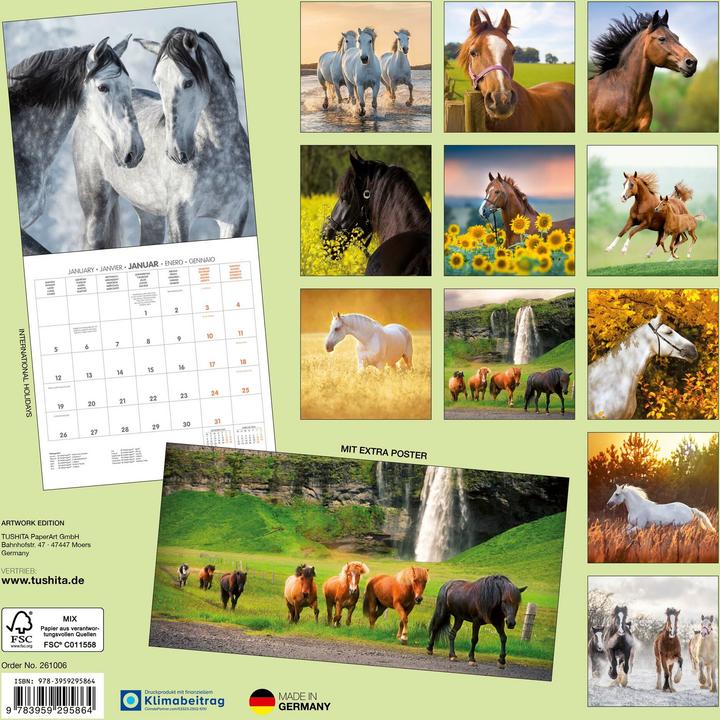 Produktbild Pferde/Horses 2026 (30 x 30 cm)