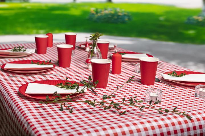 Produktbild PROnappe 20 Pappteller Ø 23,0 cm (20 x)