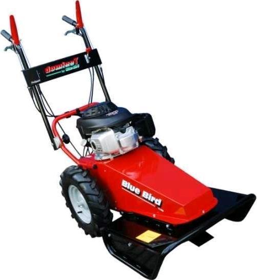 Actual product image Blue Bird Domino petrol lawn mower blade and thread B and S 850E (Petrol)