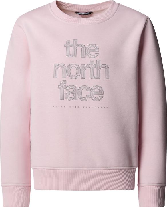 Immagine prodotto North Face Reflective Logo Relaxed Crew (134, 140)