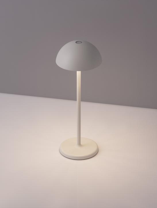 Actual product image Nova Luce Rose (207 lm)