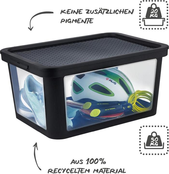 Produktbild Rotho Albris (55.5 x 39 x 26.5 cm, 45 l)