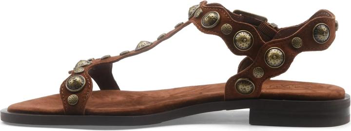 Actual product image Ash Phanny (39)