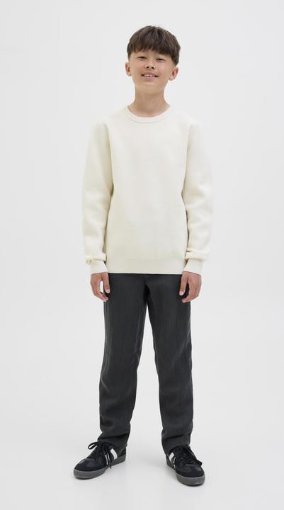 Actual product image Jack & Jones Loose Fit Hosen Junior Loose Fit Hosen (140)