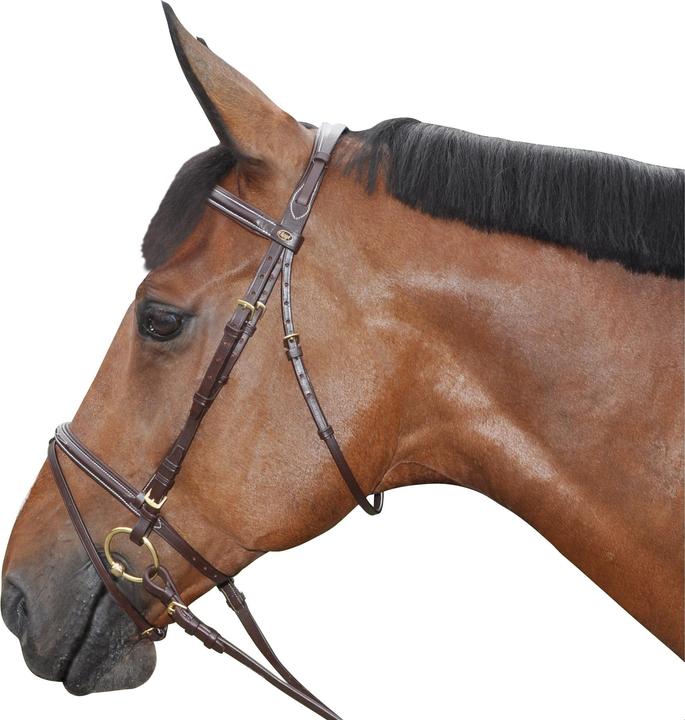 Image du produit Canter Bridons équitation surpiqué combiné