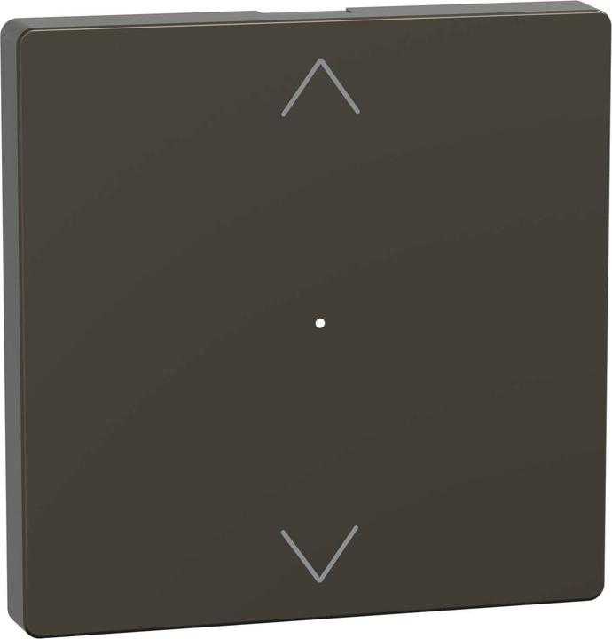 Actual product image Merten Rocker for push-button module 1gang (arrows MEG5215-6052