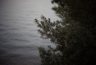 Image du produit Voigtländer Nokton 50mm / 1.2 VM asph. (Leica M, Plein format)