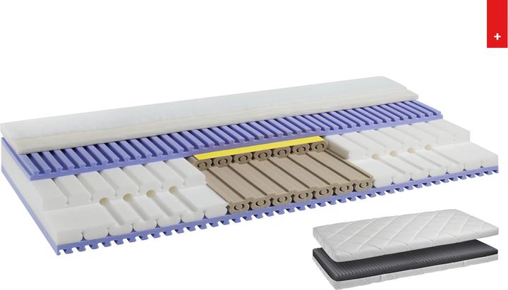 Image du produit Sleepwell24 les allergiques de Bâle (95 x 200 cm, Noyau de mousse)
