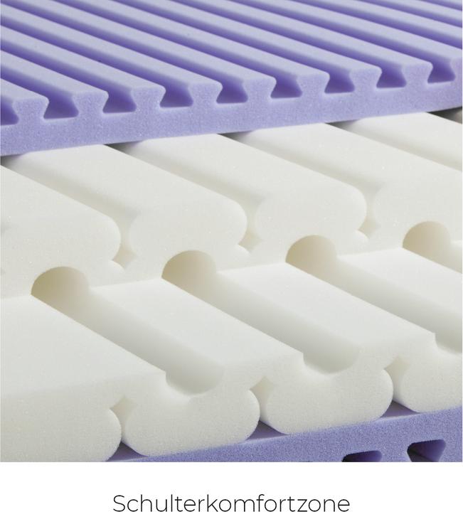 Image du produit Sleepwell24 les allergiques de Bâle (95 x 200 cm, Noyau de mousse)