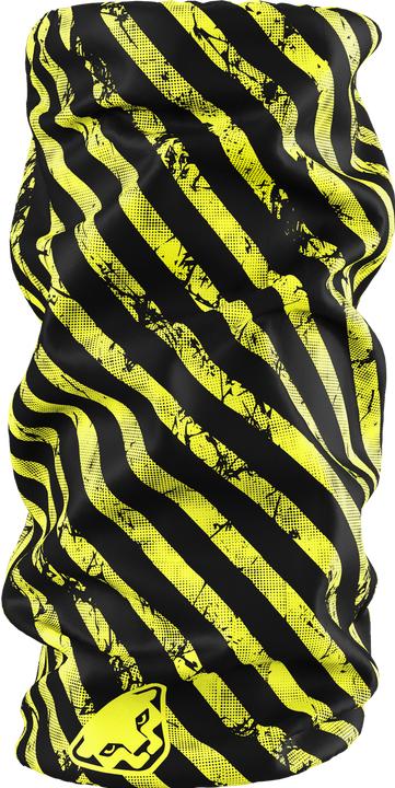 Produktbild Dynafit Graphic Neck Halstuch