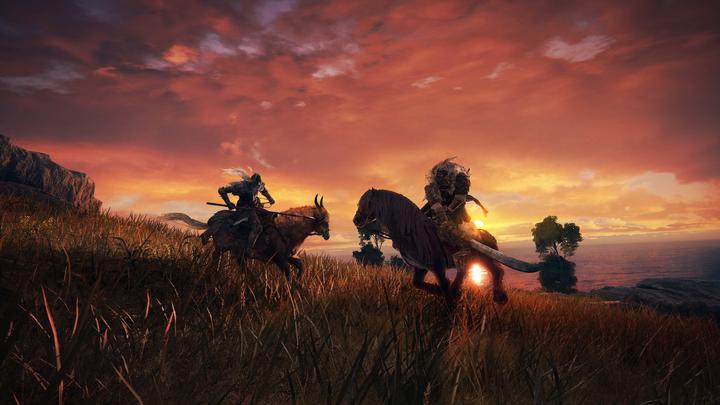 Immagine prodotto Bandai Namco Elden Ring (PS4, DE, FR, IT)