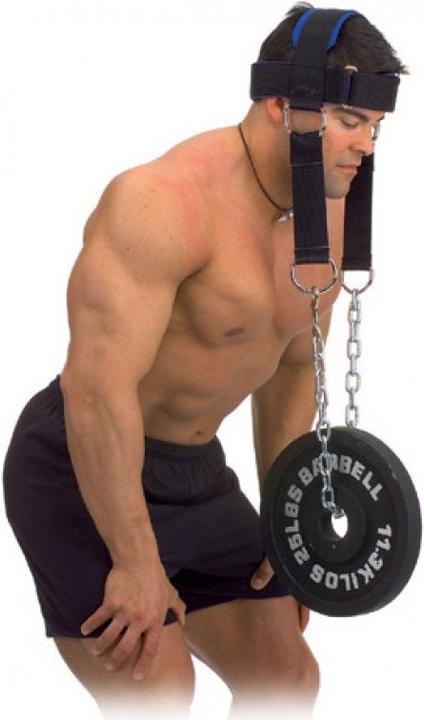 Actual product image Schiek Head Harness Model 1500 (One size)