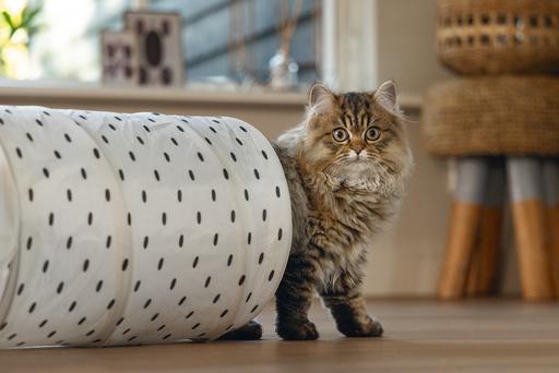 Produktbild Beeztees Katzentunnel Leo (Katzentunnel)