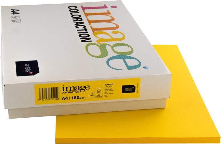Image du produit Image Papier à copier Hawai A4 (A4, 250 feuilles, 160 g/m²)