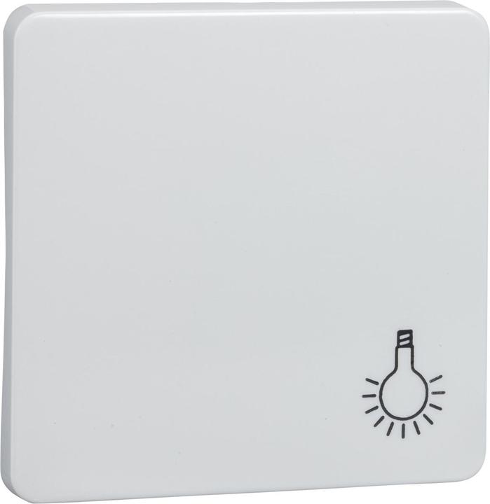 Actual product image Schneider Electric Rocker with symbol light 213114